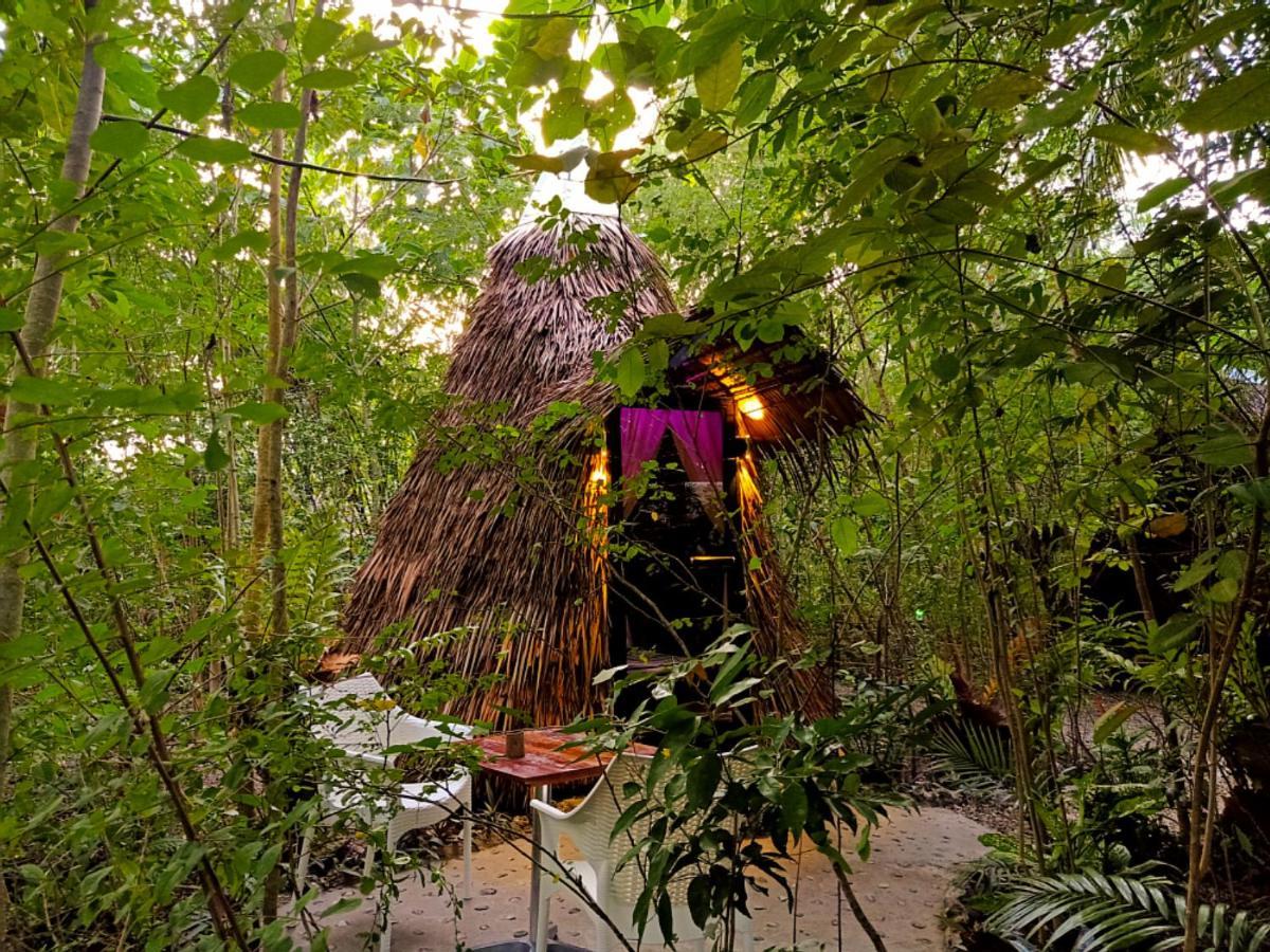 Archery-Asia Nipa Huts Moalboal Dış mekan fotoğraf