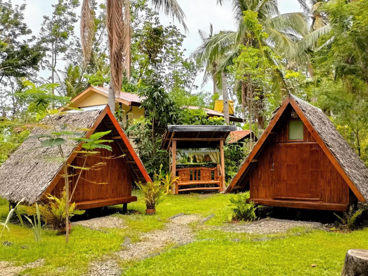 Archery-Asia Nipa Huts Moalboal Dış mekan fotoğraf